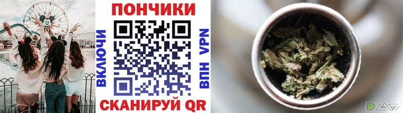 Купить Малаховка Бошки марихуана Ganja